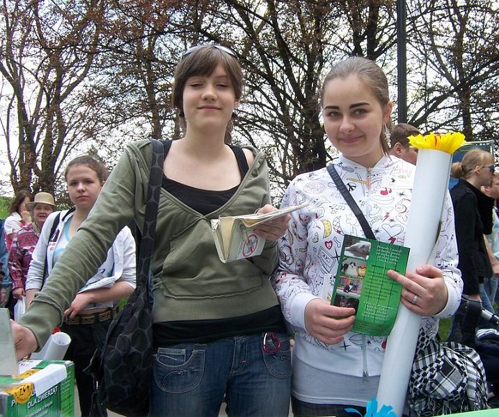 dz047.jpg