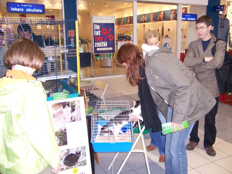 kcross06.jpg