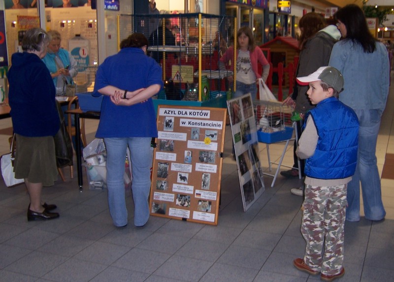 kcross07.jpg