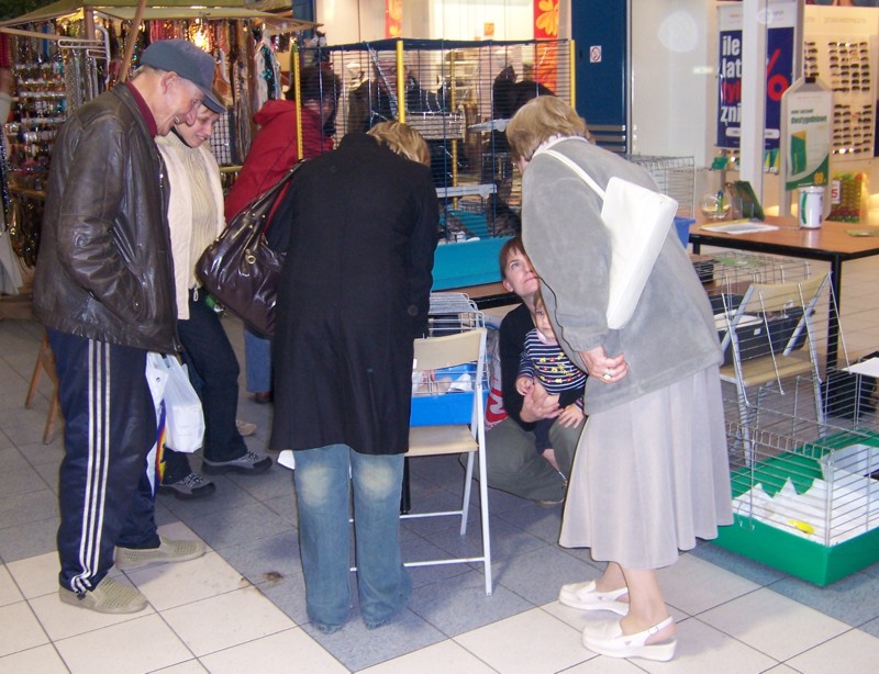 kcross17.jpg