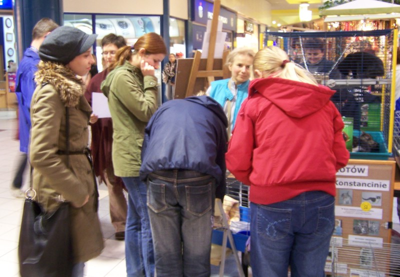 kcross40.jpg