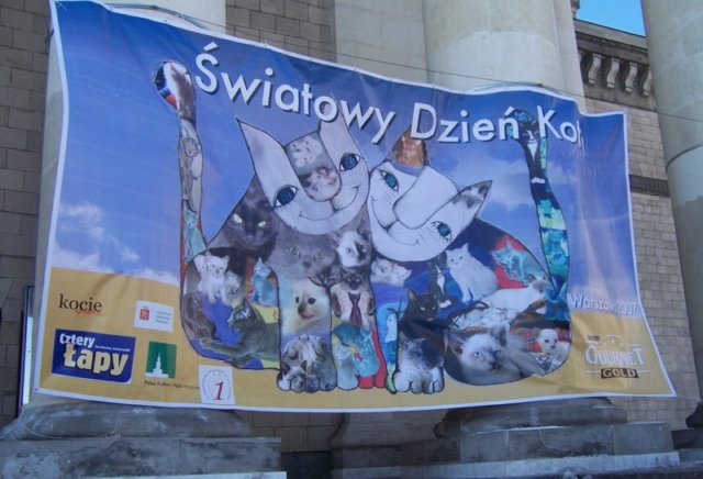sdk001.jpg