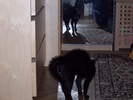 fot 2: pys2.jpg [104887 bajt�w]