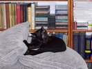 fot 14: z15.jpg [147672 bajt�w]