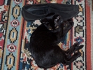 fot 22: z22.jpg [151488 bajt�w]