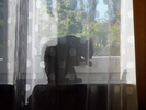 fot 23: z23.jpg [139758 bajt�w]